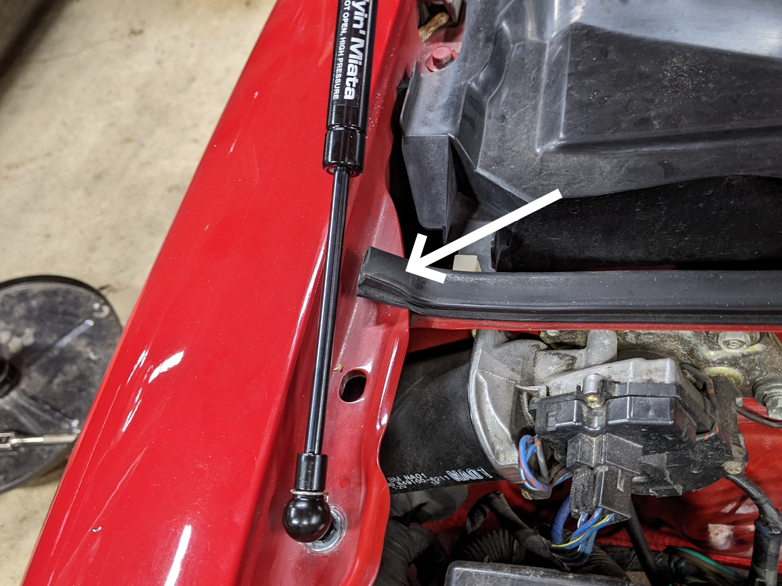 Weatherstrip that needs to be trimmed for hood strut clearance